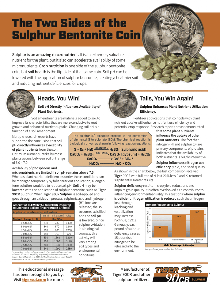 The Two Sides of the Sulphur Bentonite Coin
