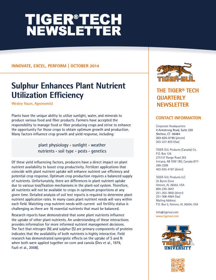 Sulphur Enhances Plant Nutrient Utilization Efficiency