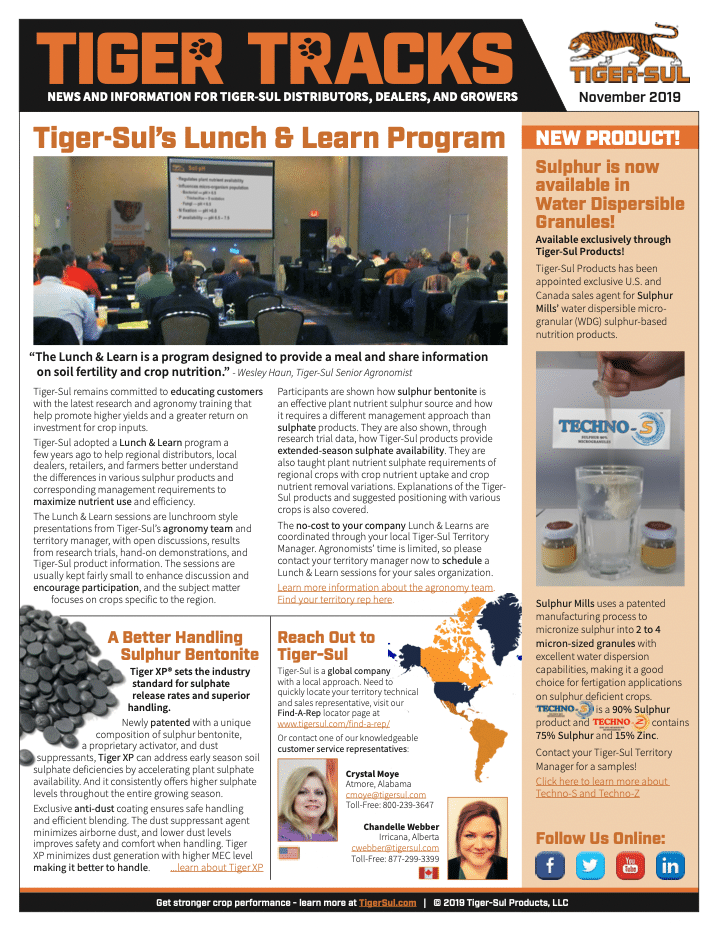 TigerTracks – November 2019