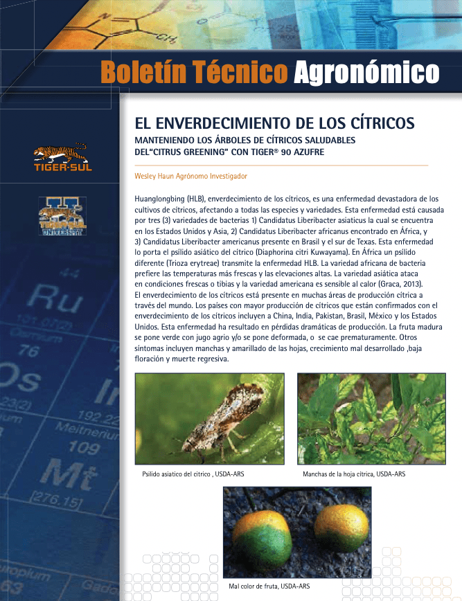 Tiger-Sul Boletin Tecnico – El Enverdecimiento de los Citricos