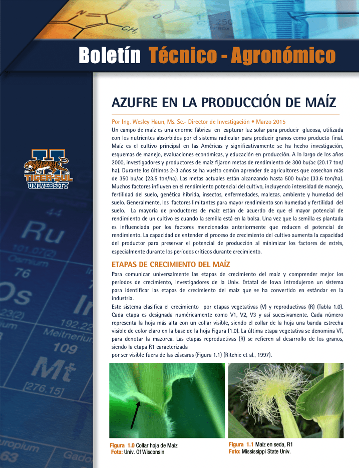 Tiger-Sul Boletin Tecnico – Azufre en la Produccion de Maiz