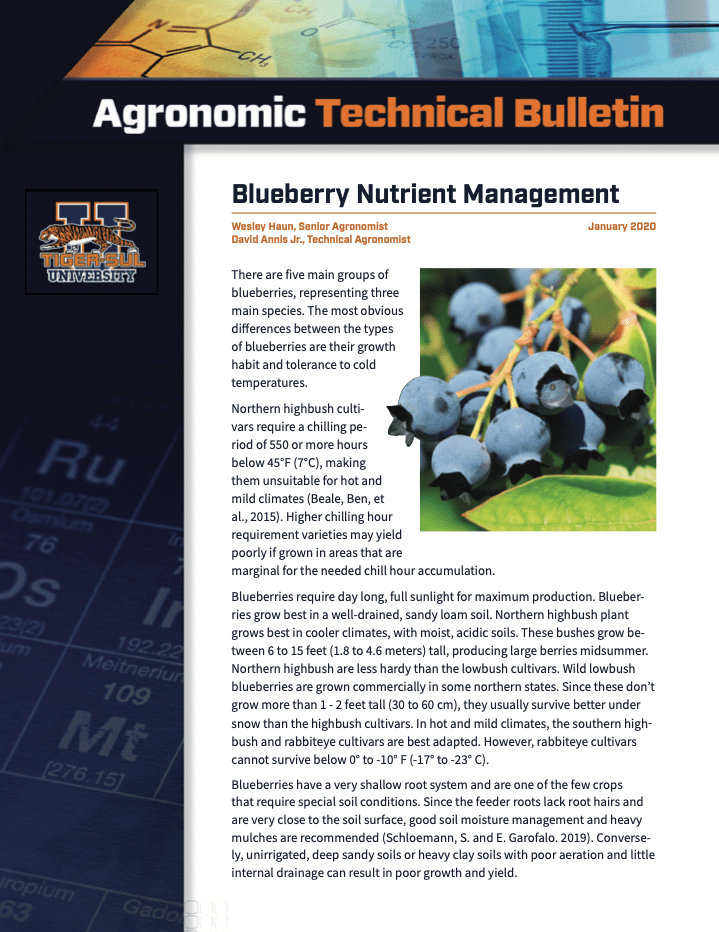 Blueberry Nutrient Management