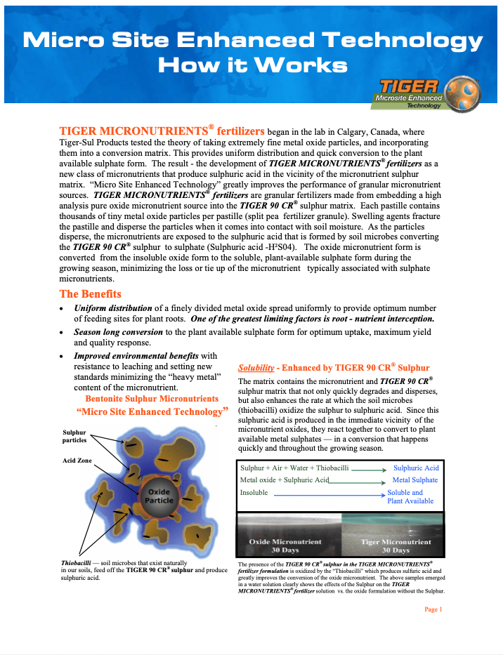 MicroSite Enhanced Technology: How it Works