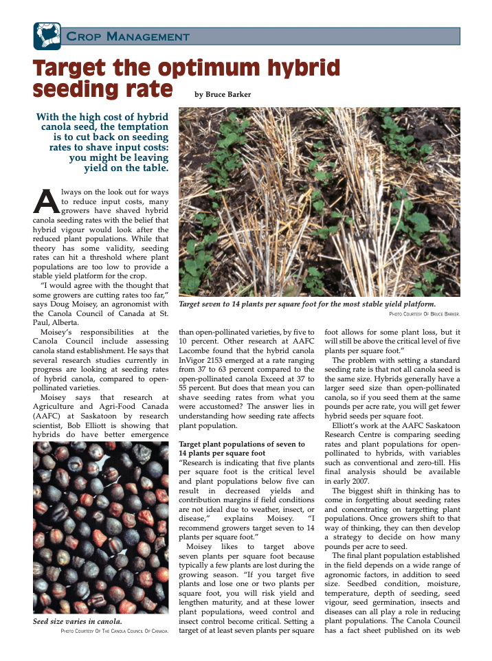 Target the Optimum Hybrid Canola Seeding Rate