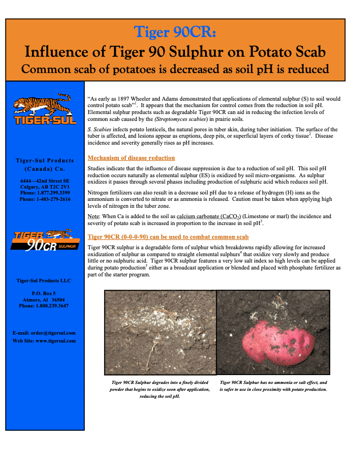 Influence of Tiger 90 Sulphur on Potato Scab