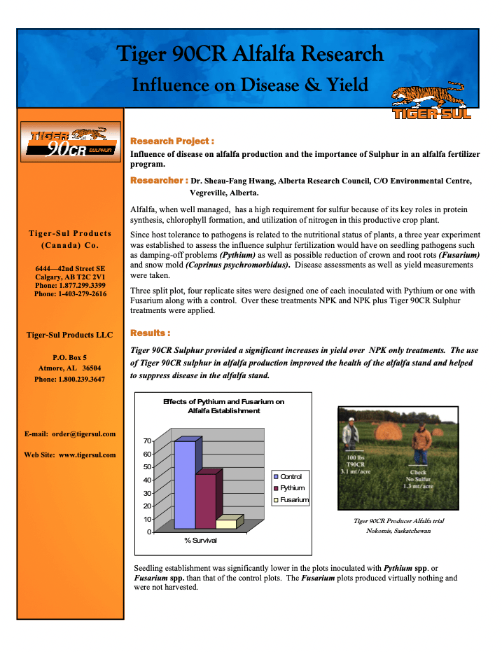 Tiger 90CR Alfalfa Research Influence on Disease and Yield