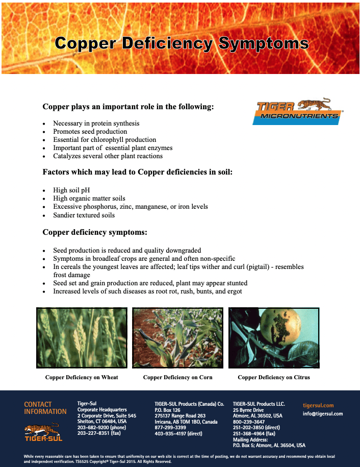 Copper Deficiency Symptoms