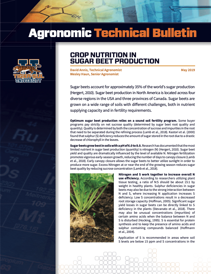 Crop Nutrition in Sugar Beet Production