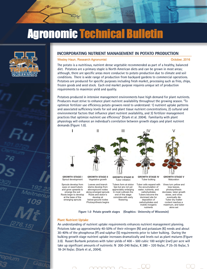 Incorporating Nutrient Management in Potato Production