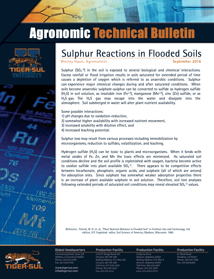 Sulphur Reactions in Flooded Soils