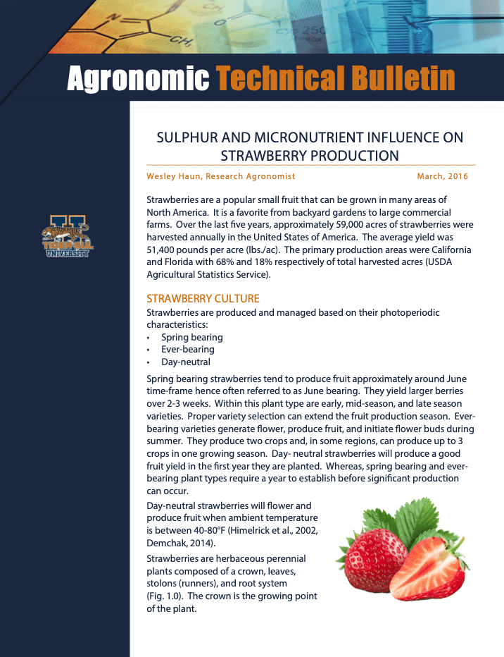 Sulphur and Micronutrient Influence on Strawberry Production