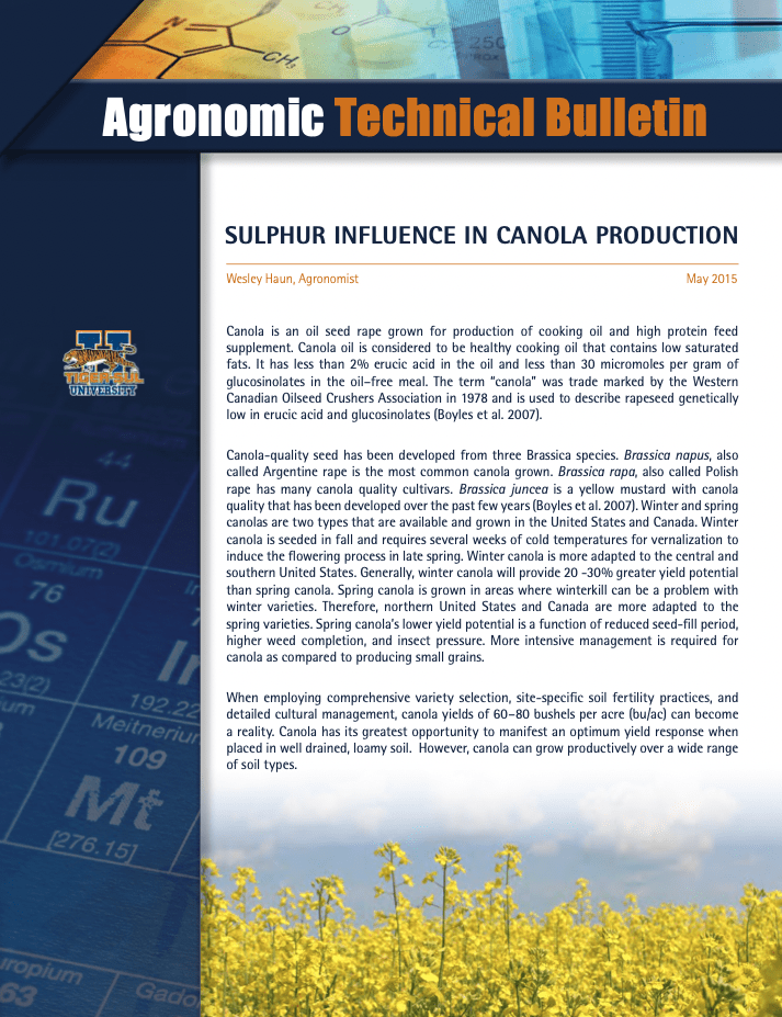 Sulphur Influence in Canola Production