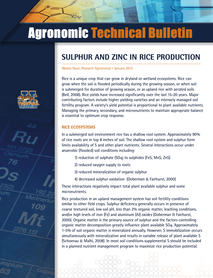 Sulphur and Zinc in Rice Production