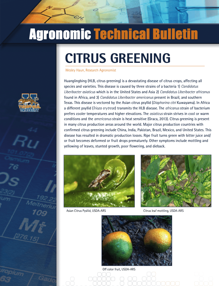Citrus Greening (International)